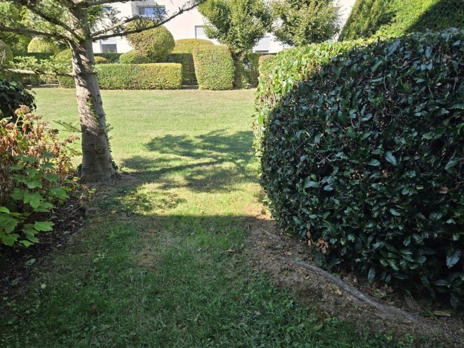 Garten Terrassenwohnung Schwalbach